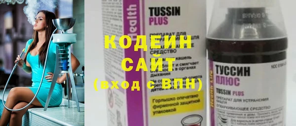 индика Балахна