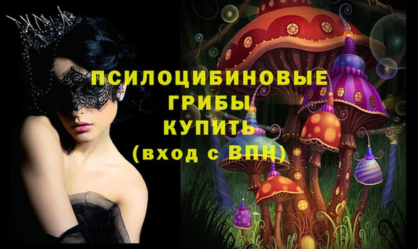 индика Балахна