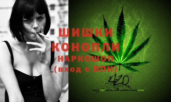 индика Балахна