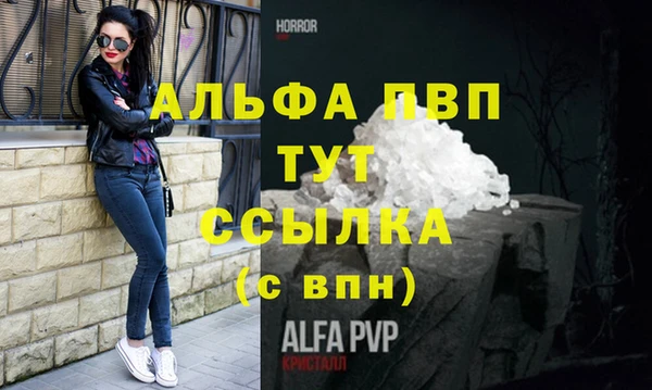 индика Балахна